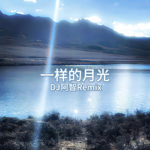 熊猫视频成人黄网
