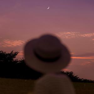 熊猫视频成人黄网
