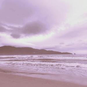 熊猫视频成人黄网
