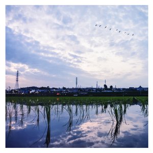 熊猫视频成人黄网
